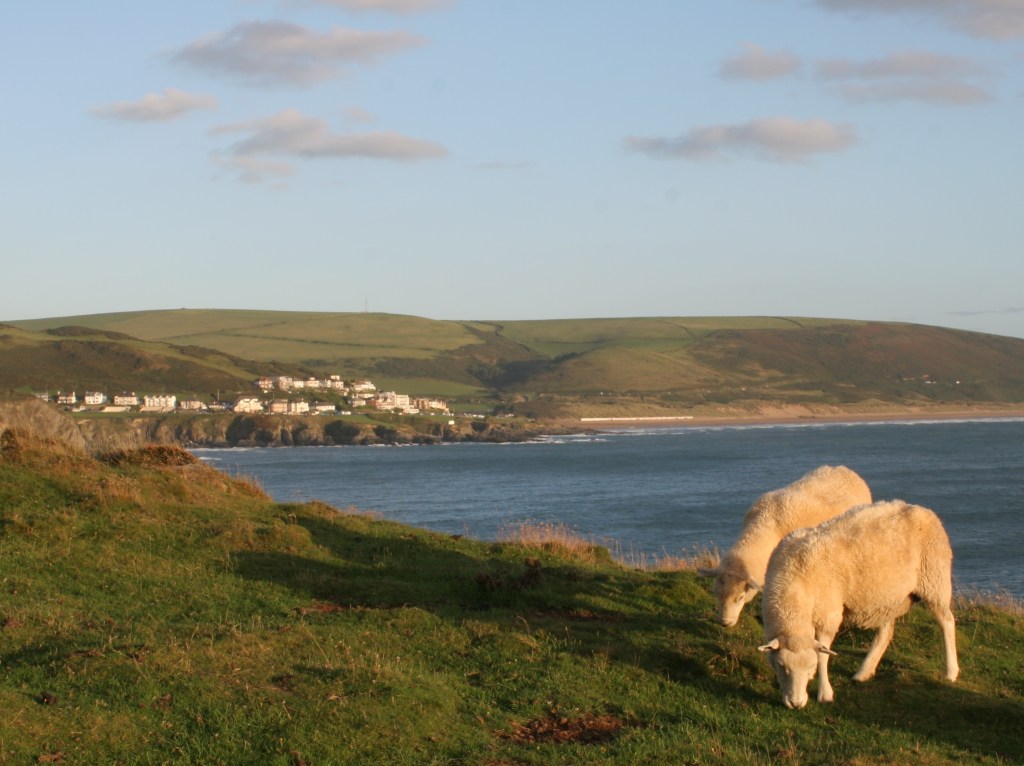 Torquay and Crediton concert&nbsp;performances