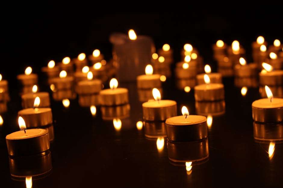 ‘From Flanders’ at University of Exeter this&nbsp;Wednesday